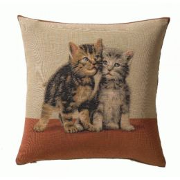 2 kittens 1 French Cushion