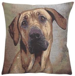 Soft Eyes II Decorative Pillow Cushion Cover